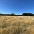  Land for sale in Los Rios, Mariquina, Valdivia, Los Rios