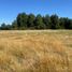  Land for sale in Los Rios, Mariquina, Valdivia, Los Rios