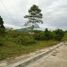  Terreno (Parcela) en venta en Cebu City, Central Visayas, Cebu City, Cebu, Central Visayas, Filipinas