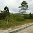  Terreno (Parcela) en venta en Cebu City, Central Visayas, Cebu City, Cebu, Central Visayas, Filipinas