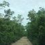  Terreno (Parcela) en venta en Cancún, Quintana Roo, Cancún