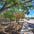  Land for rent in Merida, Yucatan, Merida, Yucatan
