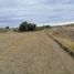  Terreno (Parcela) en venta en Zempoala, Hidalgo, Zempoala