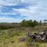  Land for sale in Chui, Rio Grande do Sul, Chui, Chui