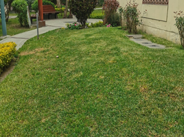 3 Habitación Apartamento en venta en San Borja, Lima, San Borja, Lima, Lima