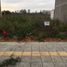  Land for sale in O Cho Dua, Hanoi, O Cho Dua