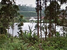  Terreno (Parcela) en venta en Sumurbandung, West Jawa, Sumurbandung