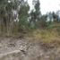  Land for sale in Llacao, Cuenca, Llacao