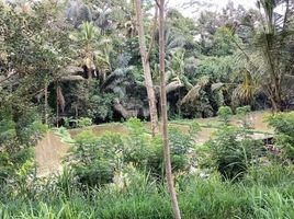  Land for sale in Ubud, Gianyar, Ubud