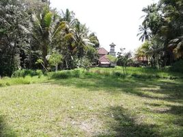  Land for sale in Ubud Art Market, Ubud, Ubud