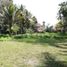  Land for sale in Ubud, Gianyar, Ubud