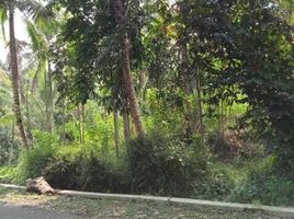  Terreno (Parcela) en venta en Seyegan, Yogyakarta, Seyegan