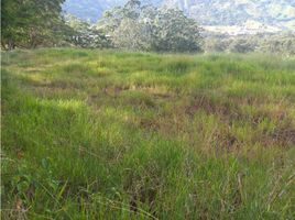  Land for sale in Girardota, Antioquia, Girardota