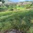  Land for sale in Girardota, Antioquia, Girardota