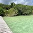  Grundstück zu verkaufen in Othon P Blanco, Quintana Roo, Othon P Blanco