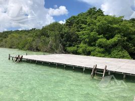  Grundstück zu verkaufen in Othon P Blanco, Quintana Roo, Othon P Blanco