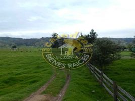  Land for sale in Cuenca, Azuay, Victoria Del Portete Irquis, Cuenca