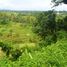  Land for sale in Penebel, Tabanan, Penebel