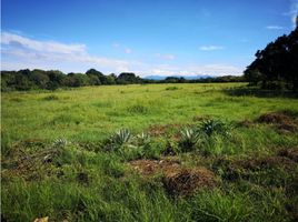  Terreno (Parcela) en venta en Coclé, Río Hato, Antón, Coclé