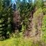  Terreno (Parcela) en venta en Chile, Villarrica, Cautín, Araucanía, Chile