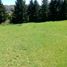  Terreno (Parcela) en venta en Chile, Villarrica, Cautín, Araucanía, Chile