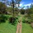  Terreno (Parcela) en venta en Chile, Villarrica, Cautín, Araucanía, Chile