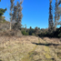  Terreno (Parcela) en venta en Chile, Villarrica, Cautín, Araucanía, Chile