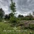  Terreno (Parcela) en venta en Araucanía, Villarrica, Cautín, Araucanía