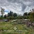  Terreno (Parcela) en venta en Araucanía, Villarrica, Cautín, Araucanía
