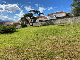  Land for sale in Quito, Pichincha, Tumbaco, Quito