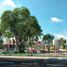  Land for sale in Valladolid, Yucatan, Valladolid