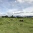  Land for sale in Acatlan De Juarez, Jalisco, Acatlan De Juarez