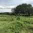  Land for sale in Acatlan De Juarez, Jalisco, Acatlan De Juarez