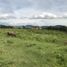  Land for sale in Acatlan De Juarez, Jalisco, Acatlan De Juarez
