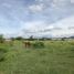  Land for sale in Acatlan De Juarez, Jalisco, Acatlan De Juarez