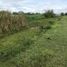  Land for sale in Acatlan De Juarez, Jalisco, Acatlan De Juarez