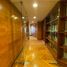 280 SqM Office for rent in Chile, Santiago, Santiago, Santiago, Chile