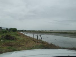  Terreno (Parcela) en venta en Guayas, Samborondon, Samborondón, Guayas