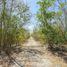 Terreno (Parcela) en venta en Merida, Yucatán, Merida