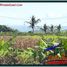  Land for sale in Kerambitan, Tabanan, Kerambitan