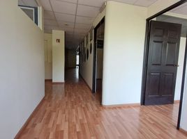 141.44 m² Office for rent in Toluca, Mexico, Toluca