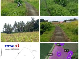  Land for sale in Selemadeg, Tabanan, Selemadeg