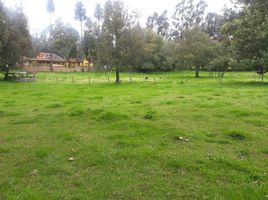  Land for sale in Bolivar, Guaranda, Guaranda, Bolivar