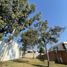  Terreno (Parcela) en venta en San Pedro Cholula, Puebla, San Pedro Cholula