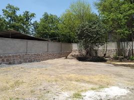  Terreno (Parcela) en venta en Tecozautla, Hidalgo, Tecozautla
