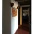在Progreso, Yucatan出售的4 卧室 屋, Progreso