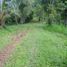  Land for sale in Selemadeg, Tabanan, Selemadeg