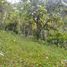  Land for sale in Selemadeg, Tabanan, Selemadeg