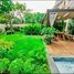 5 Bedroom House for sale in Thao Dien, Ho Chi Minh City, Thao Dien