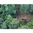  Land for sale in Medellin, Antioquia, Medellin